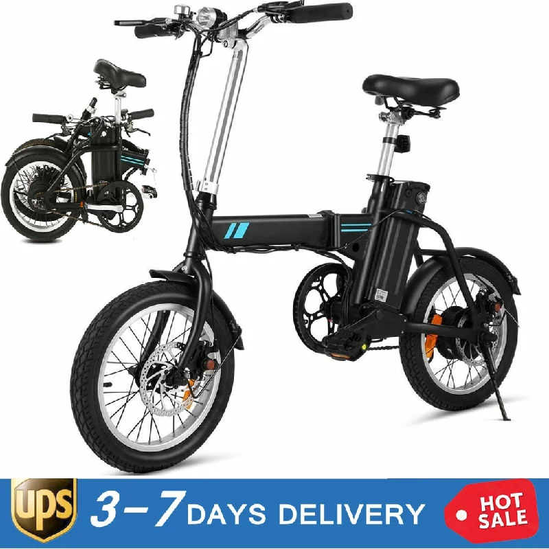 Electric Folding Bike 36V 250W 8Ah Lithium