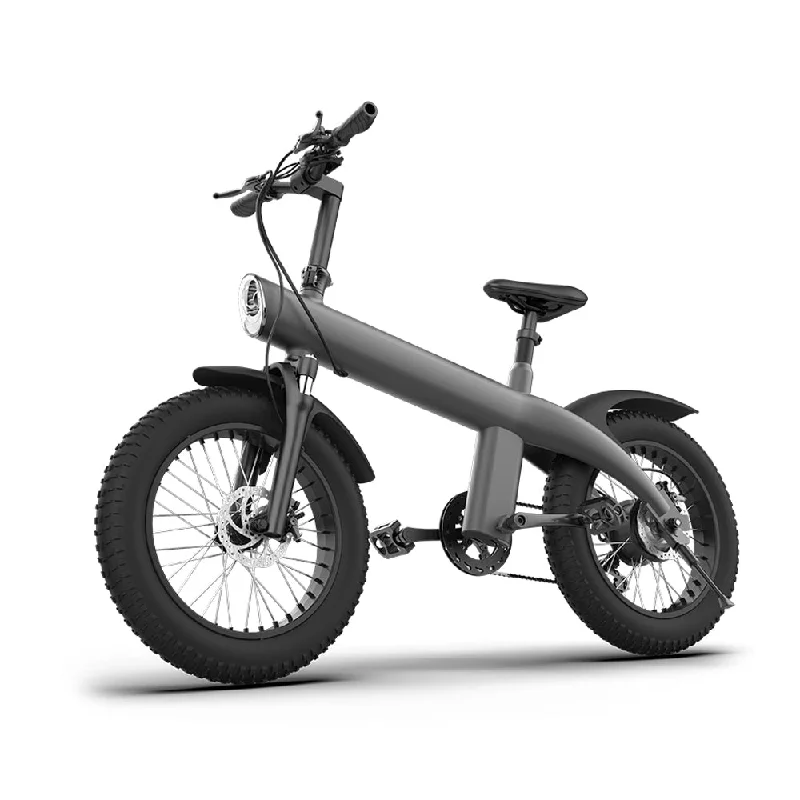 CRONY Q3 Off-road fat tire 48V/750W aluminum alloy E-bike 20 inch fat tire off road bicy Scootercle electric bike Scooter