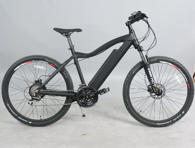 DWMEIGI DW7610 36V/10Ah 350W Electric Mountain Bike