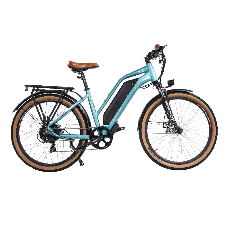 DWMEIGI Hestia 48V/13Ah 750W Electric Bike