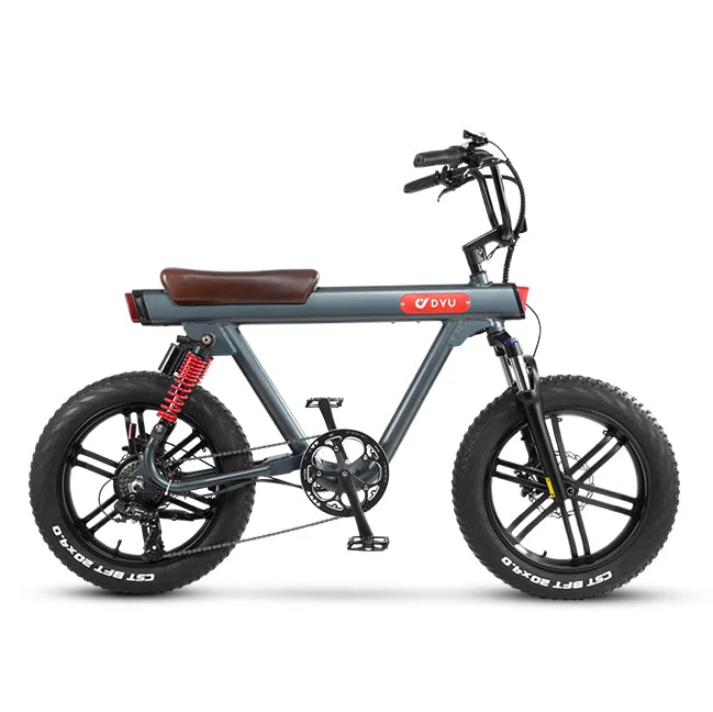 DYU V8 48V/15.5Ah 750W Electric Bike