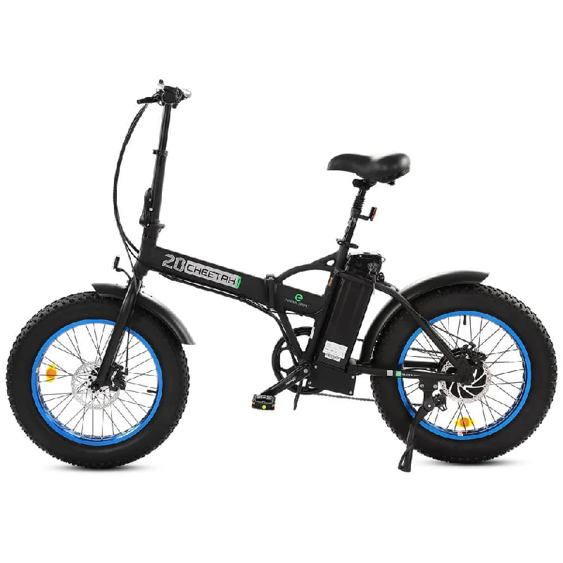 UL Certified-Ecotric 36V Fat Tire Portable and Folding Electric Bike