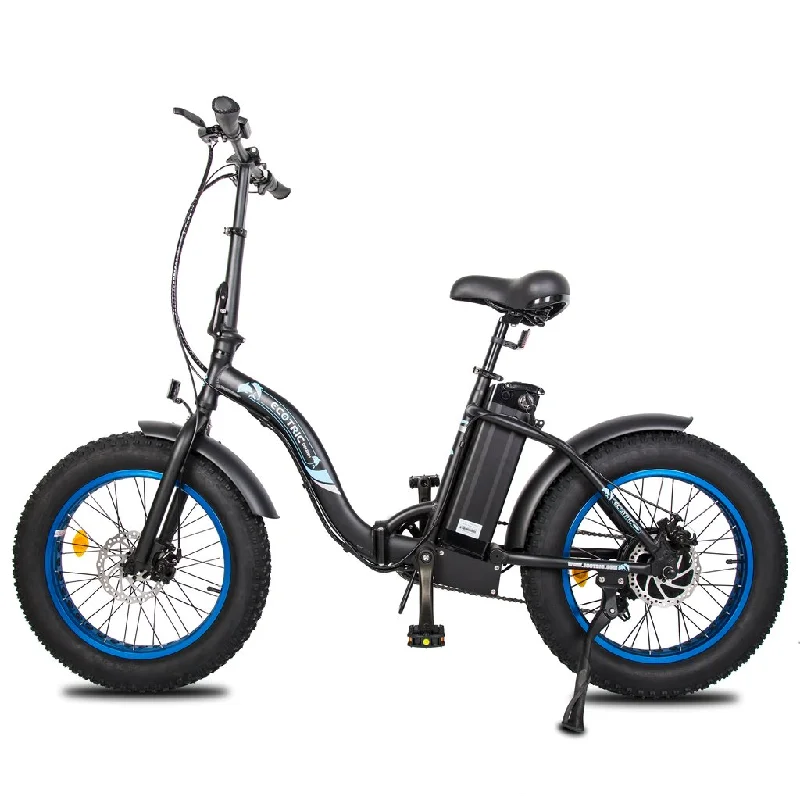 Ecotric Dolphin Portable and Folding Electric Bike