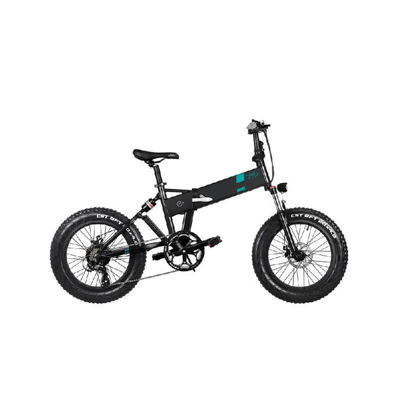 Fiido M21 48V/11.6Ah 500W Fat Tire Electric Bike with Torque Sensor