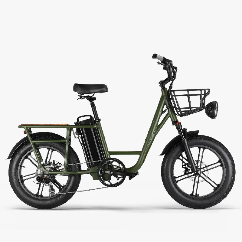 Fiido T1 Pro 48V/20Ah 750W Electric Utility Bike