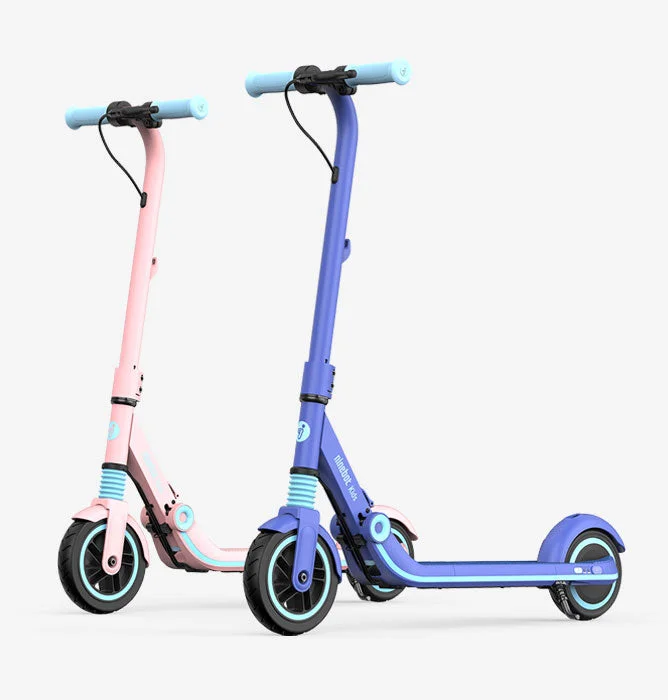 Durable Adult Scooter for Commuting and Leisure-NINEBOT SCOOTER E8