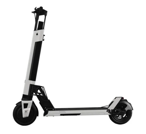 Stylish and Functional Kick Scooter for Adults-SWITCH SCOOTER PRO