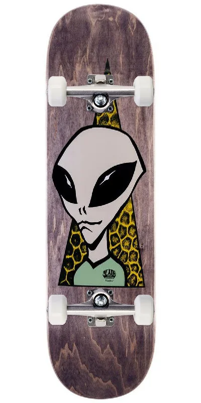 Complete Skateboard Setup for Advanced Riders-Alien Workshop Visitor Skateboard Complete - 8.75"